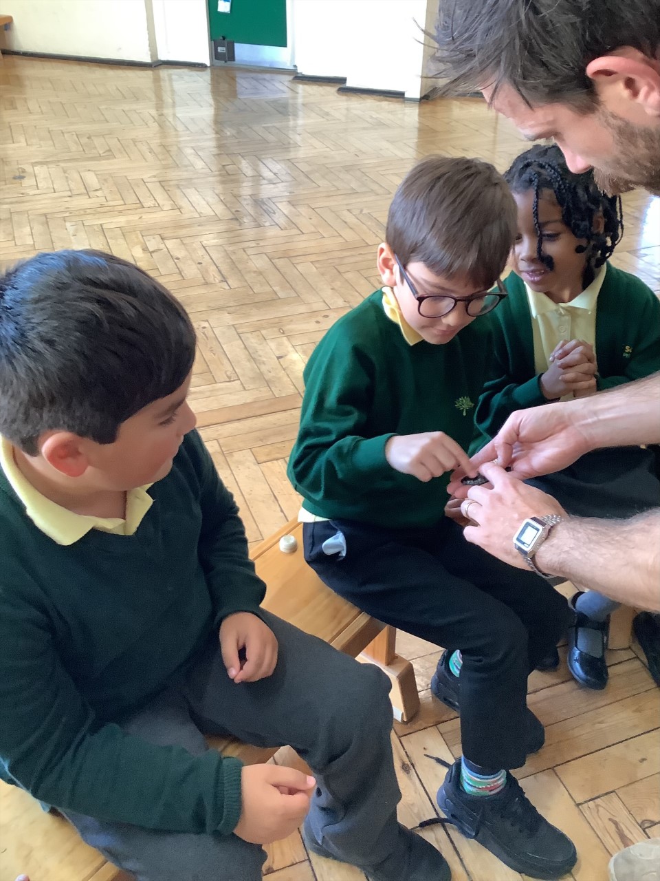 Mini Beasts Workshop With Year 1 - Southwold Primary School